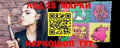 apvp Камышлов