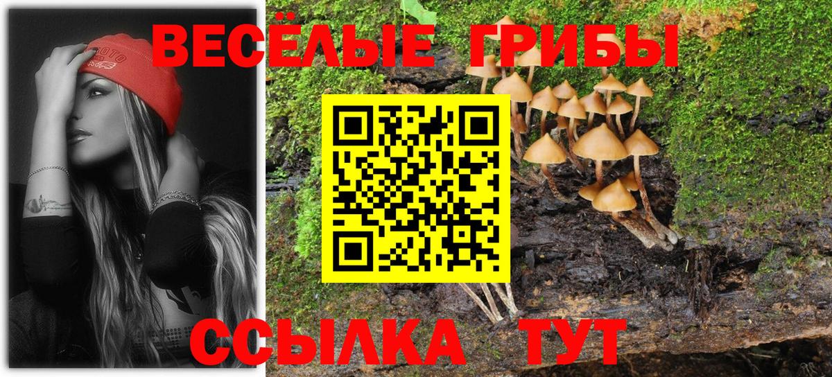 Галлюциногенные грибы Psilocybe  Вход с VPN  Красноуфимск 